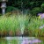 Fountains for Small Ponds & Water Gardens with Pump - Aquarius™ Kits from Atlantic®