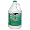 Bloom & Grow™ Aquatic Plant Supplement from Microbe-Lift®
