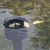 AquaSkim™ In-Pond Skimmer by Oase®