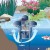 SwimSkim™ Floating Pond Skimmer by Oase®
