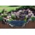Complete Pond Kits from Atlantic®